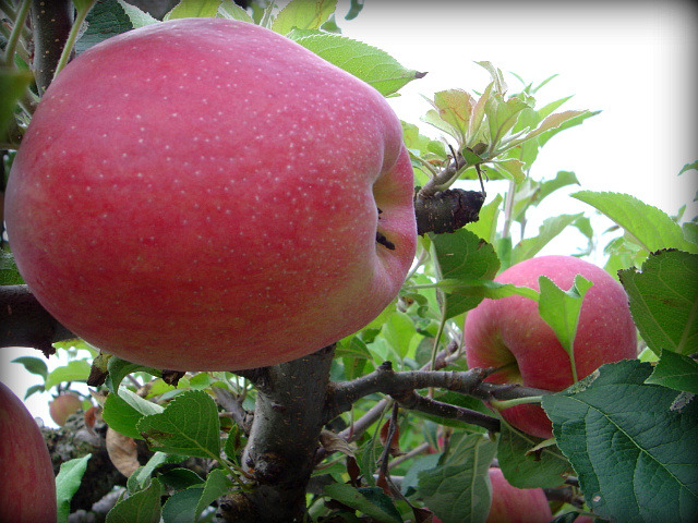 �̹����� Ŭ���ϸ� ������ ���� �� �ֽ��ϴ�.