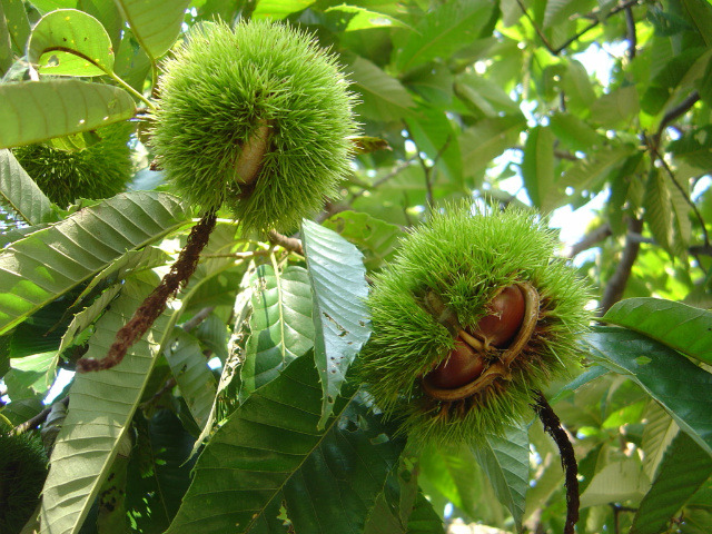 �̹����� Ŭ���ϸ� ������ ���� �� �ֽ��ϴ�.