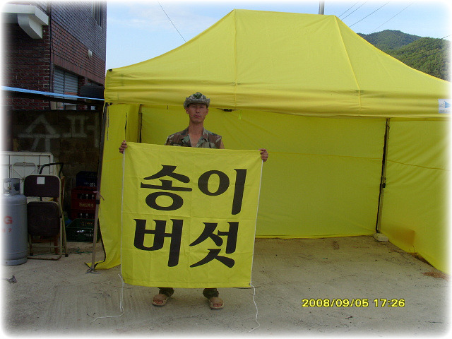 송이집 이미지
