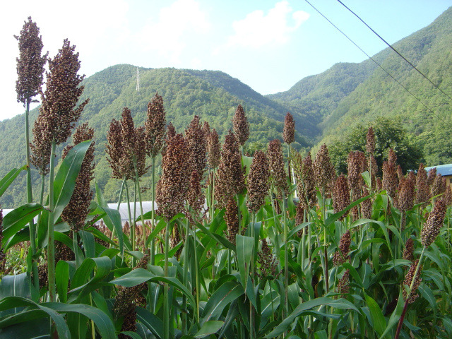 �̹����� Ŭ���ϸ� ������ ���� �� �ֽ��ϴ�.