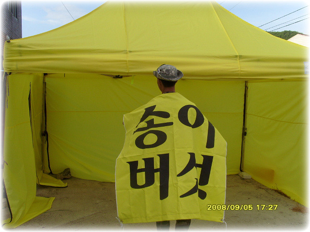 송이집 이미지