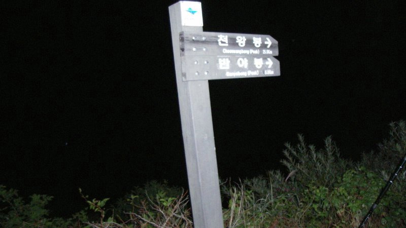 지리산흑도야지 이미지