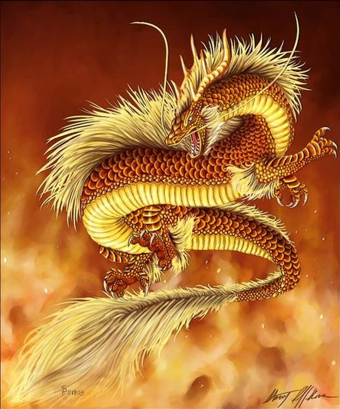 황룡 이미지