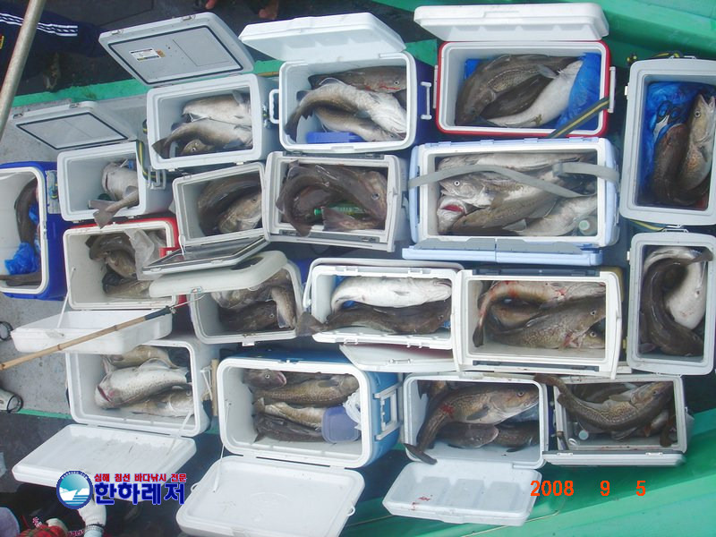 한하 이미지