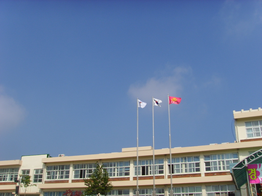 앙성중학교 이미지